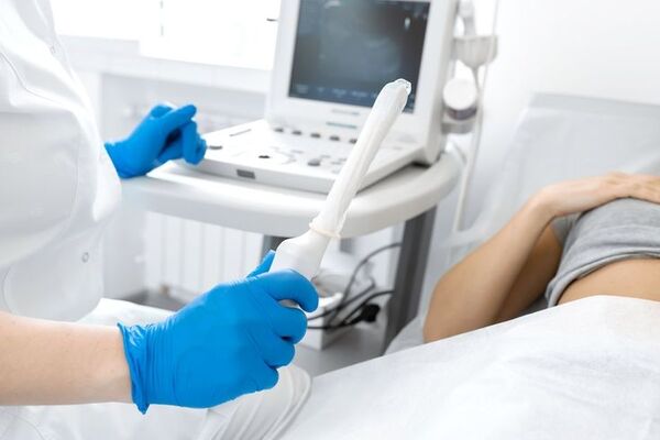 ultrassonografia pélvica transvaginal